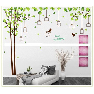 Decal dán tường Cây khung ảnh to nhất - vườn cây kỷ niệm
