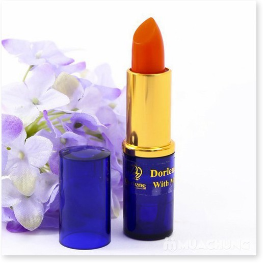 Bộ 6 Son sâm DORLENE HERBAL PINK LIP Thái Lan lên màu đẹp tự nhiên giúp ngăn ngừa thâm môi hiệu quả, giúp môi hồng hào