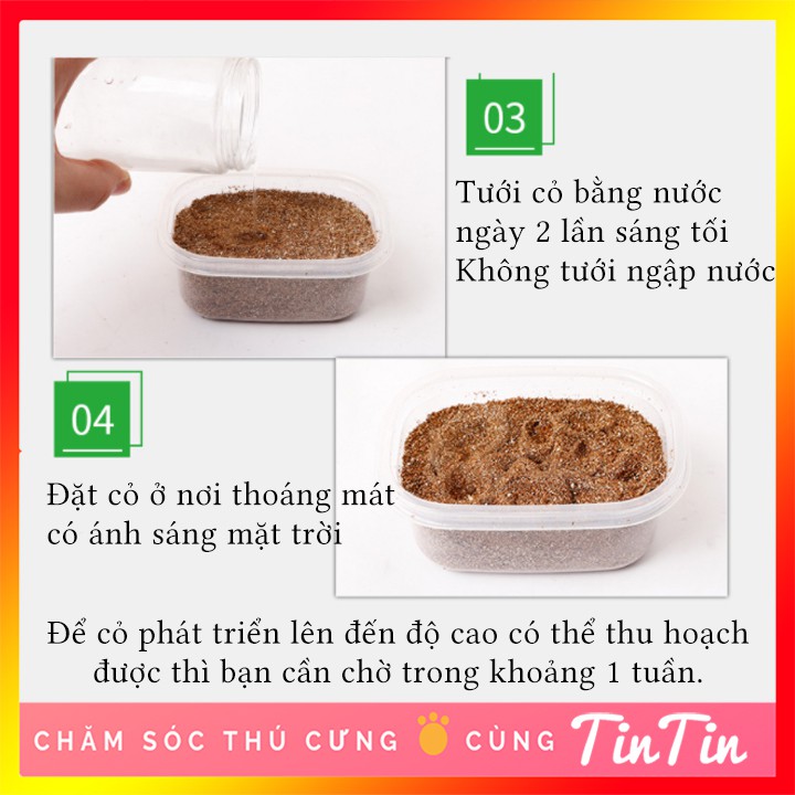 Bộ Hạt Giống Kèm Dụng Cụ Trồng Cỏ Mèo