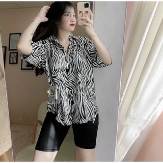 SET SƠ MI NGỰA VẰN +  QUẦN LEGGING LỬNG,3 MÀU, FREE SIZE, KÈM ẢNH THẬT 💯