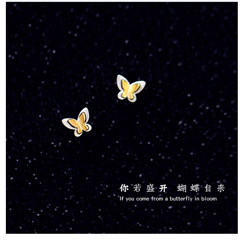 Hoa Tai Hình Bướm Xinh Xắn Dành Cho Nữ