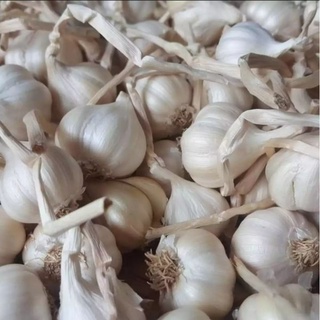 Tỏi Lý Sơn loại 1, túi 1kg
