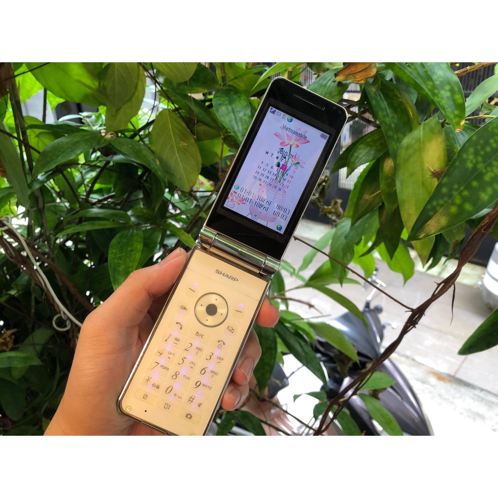 Điện thoại Sharp SH6220C quốc tế