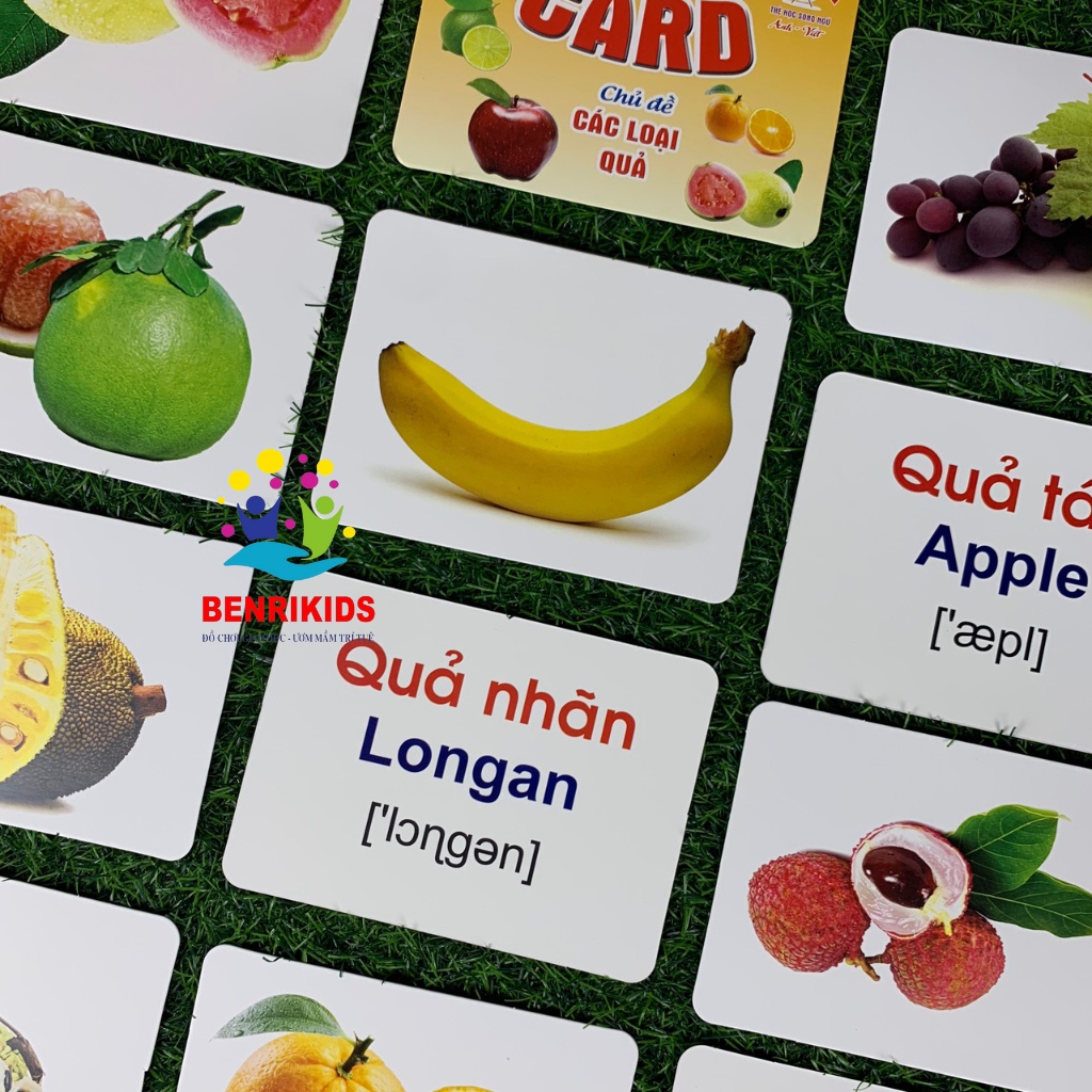 Thẻ Học FlashCard Thông Minh Loại To 16x12Cm 14 Chủ Đề Theo Phương Pháp Glenn Doman Giúp Bé Phát Triển Vượt Trội
