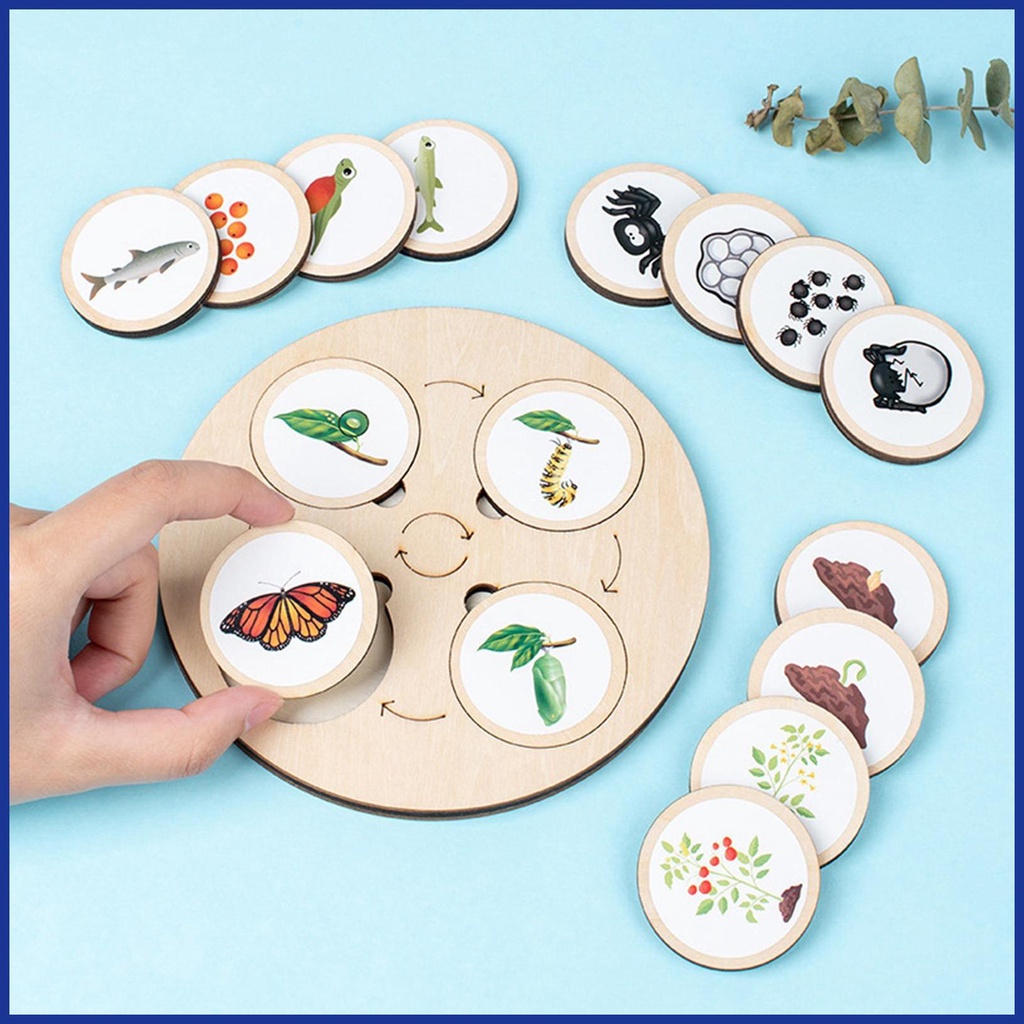 Bộ Đồ Chơi Xếp Hình Vòng Đời Của Đời Sống Bằng Gỗ Kèm Năm Ngăn Dành Cho Bé