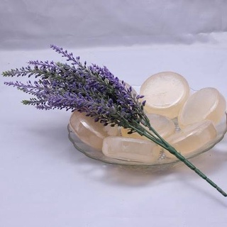 XÀ BÔNG DỪA