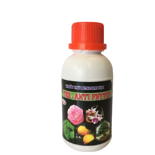 : Phân Bón Dành Cho Cây Cảnh