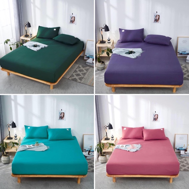 [GIÁ HOT]Ga gối Cotton Tici - Bảng 11 màu chăn ga basic phù hợp homestay, condotel. | BigBuy360 - bigbuy360.vn