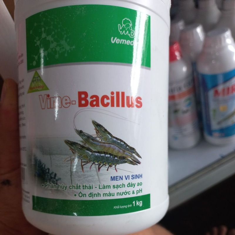 VIME- BACILLUS MEN VI SINH XỬ LÍ ĐÁY, TRONG SẠCH AO NUÔI.