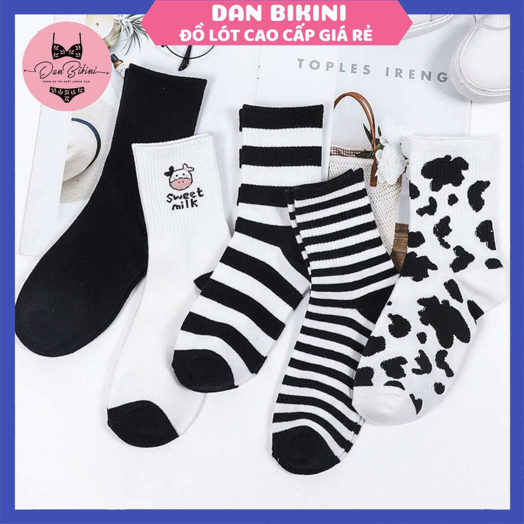 Tất Nữ ❤️FREESHIP❤️ Tất Nữ Cổ Cao hoạ tiết hình bò sữa cute ❤️ Tất Cotton mềm mại kháng khuẩn mã T07