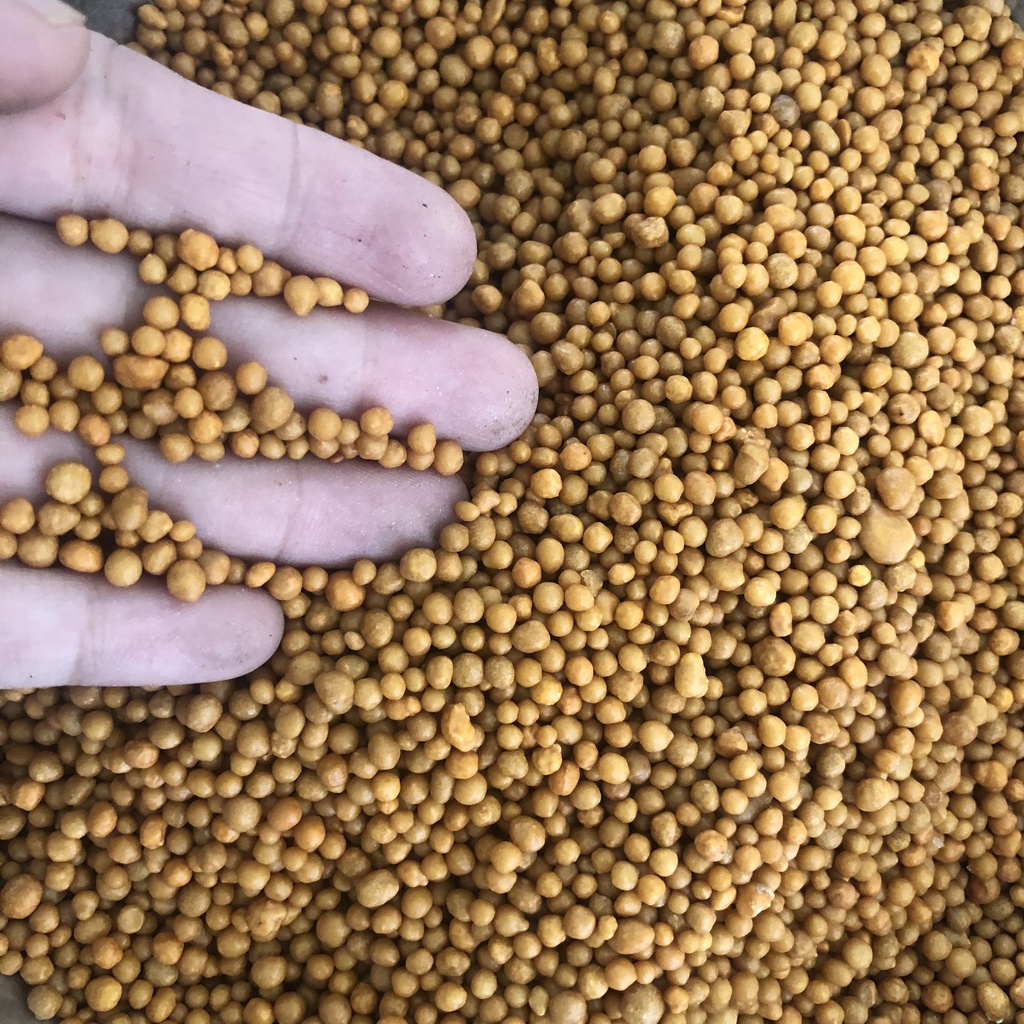 100g phân tan chậm vàng 14 14 14 cho sen đá xương rồng  hoa lan cây cảnh kim tien cây nội thất