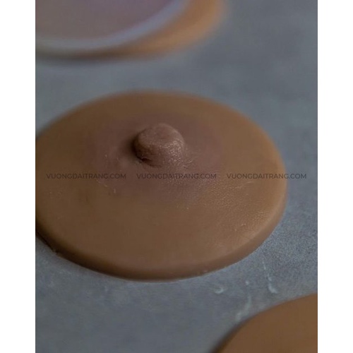 Da giả silicone 3D Areola tập phun xăm