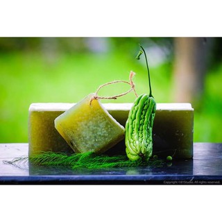 XÀ BÔNG HỮU CƠ MƯỚP ĐẮNG MÁT RƯỢI 100% TỰ NHIÊN