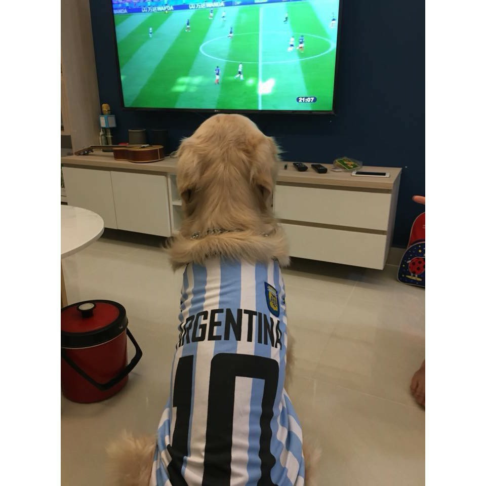 Áo bóng đá - Áo thể thao mùa hè dành cho cún mèo cưng