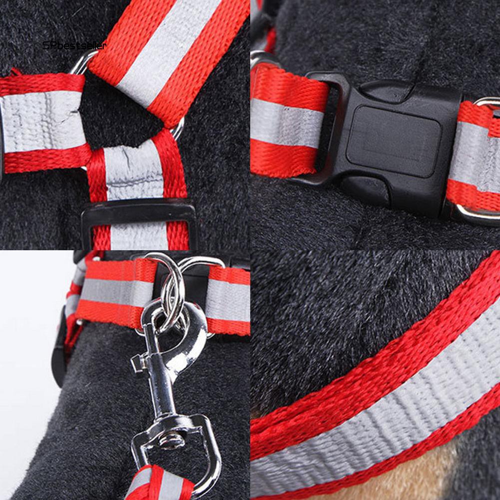 Dây đeo dắt thú cưng đi dạo thoải mái