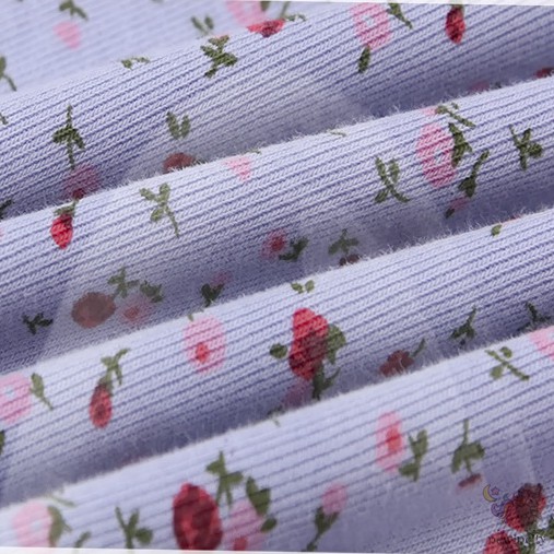 Áo Tay Dài In Hoa Kiểu Hàn Quốc Thời Trang Thu Đông Dành Cho Bé Gái