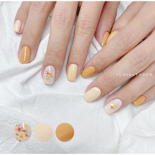 Set hoa khô nail trang trí móng 12 màu