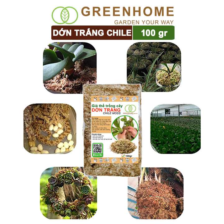 Giá thể dớn trắng Greenhome, gói 100gr, đã qua xử lý, giữ ẩm tốt, kháng khuẩn tự nhiên, trồng lan, kiểng lá