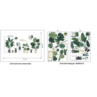 decal dán tường chậu cây xanh