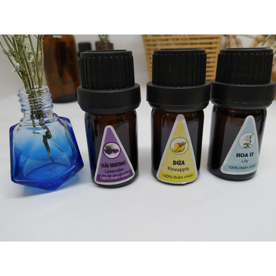 Tinh dầu thơm  Ấn Độ XÔNG phòng 5ml có 20 mùi: ngọc lan tây (Ylang-ylang), Sả chanh… | BigBuy360 - bigbuy360.vn