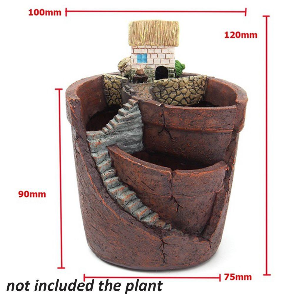 1 Chậu Cây Bonsai Trang Trí Nhà Cửa / Văn Phòng