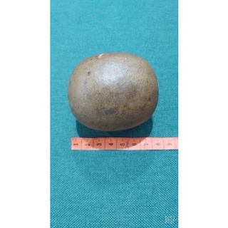 10  quả la hán 8cm