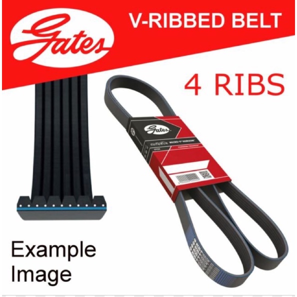 dây curoa Gates 4PK900 4PK910 4PK920 4PK925 4PK930 4PK935 4PK940 4PK945 4PK950 4PK955 4PK960 4PK965 