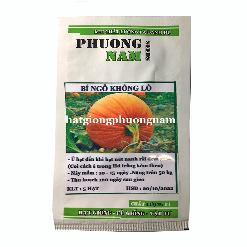 5H- HẠT GIỐNG BÍ NGÔ KHỔNG LỒ