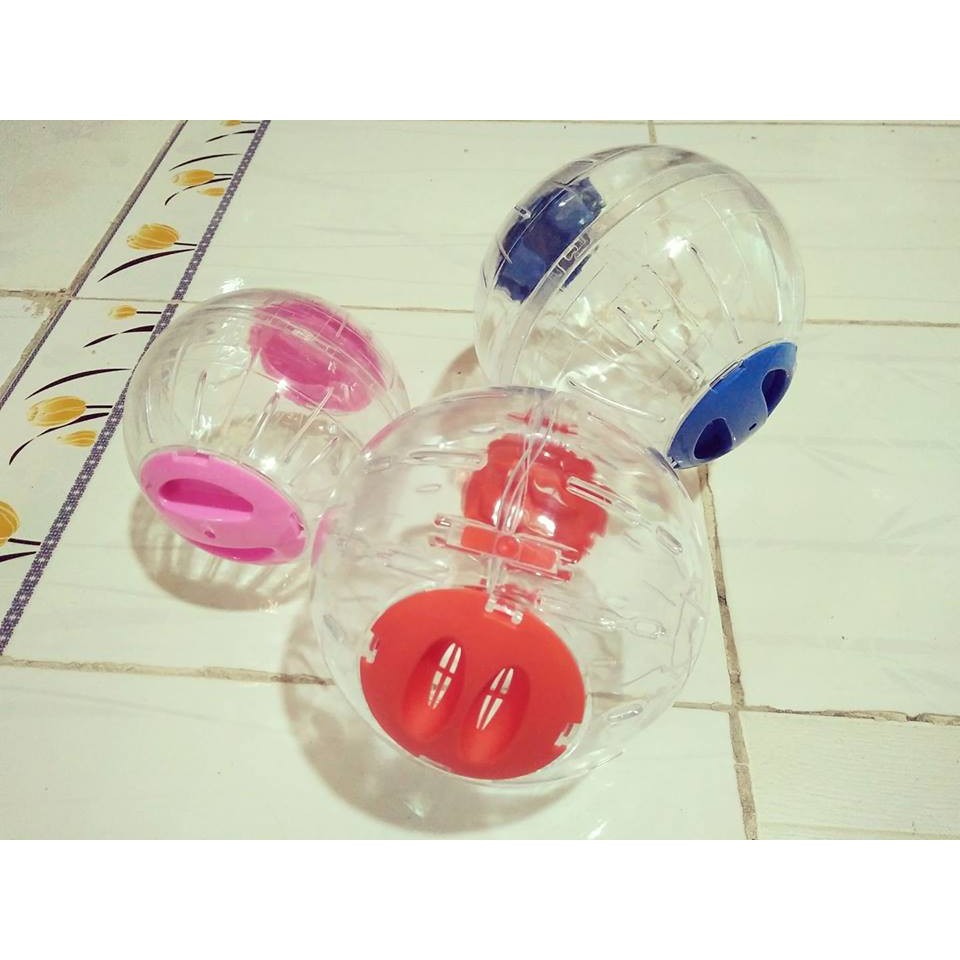 Banh chạy không đế cho hamster
