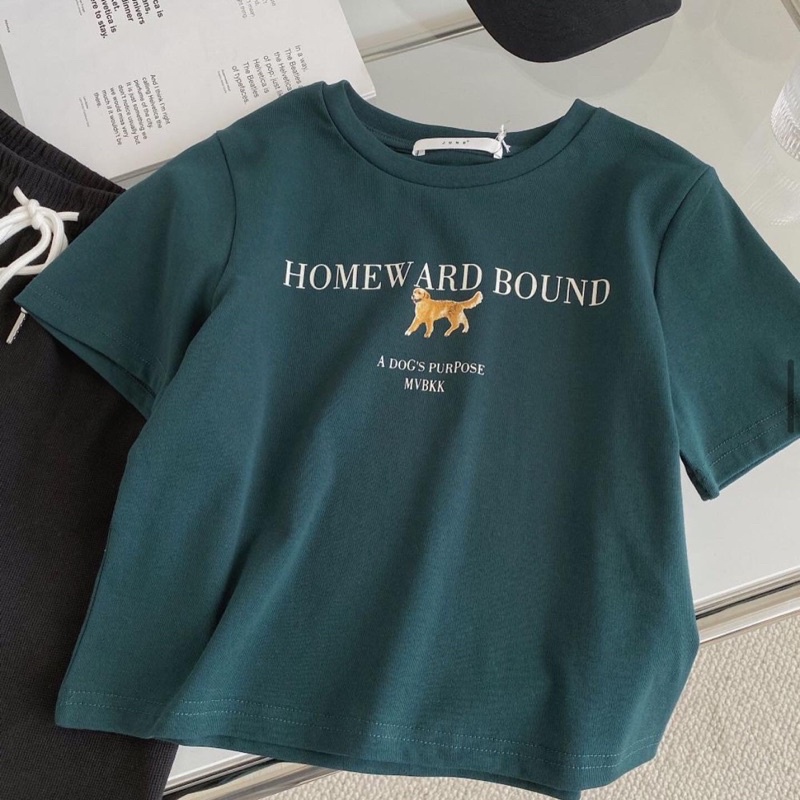 Áo Phông croptop