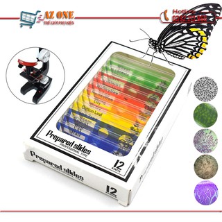 Bộ 12 Tiểu Bản Mẫu Vật Của Động Thực Vật Dùng Trên Kính Hiển Vi