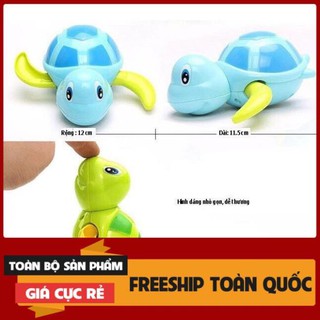 ĐỒ CHƠI CÁ RÙA THẢ BỒN TẮM