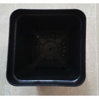 Chậu vuông 5x5 đen (Set 10 cái)