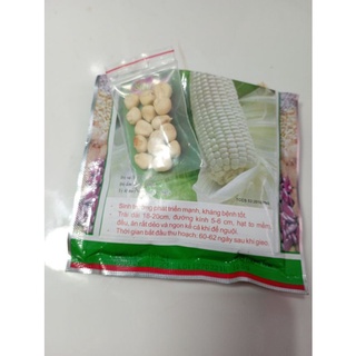 Bắp nếp gói 15 hạt hạt giống sạch