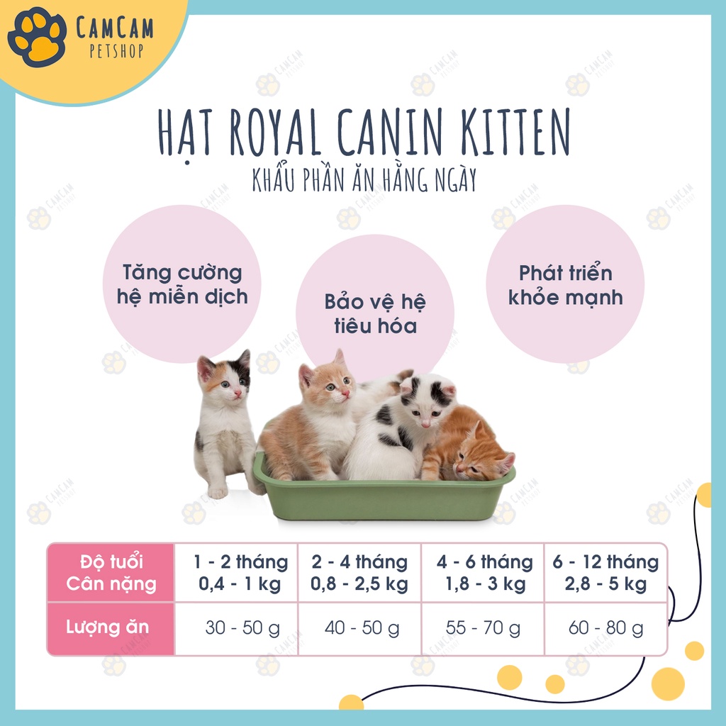 Thức ăn hạt cho mèo con Royal Canin Kitten Gói 2kg - Hạt Royal Canin Kitten, Thức ăn khô cho mèo con