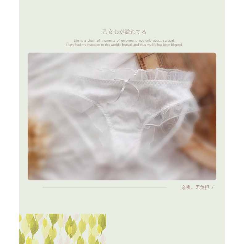 Quần Lót Nữ Cotton-Ren Kháng Khuẩn Ngang Eo Xuất Đông Âu  Hàng Săn SALE.