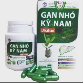 Gan nhó kỳ nam