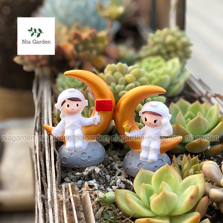 Tiểu cảnh trang trí hồ cá mô hình mini decor vườn chậu cây terrarium bàn làm việc taplo xe hơi Nia Garden N5