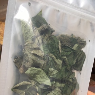 Lá lốt khô 1 kg Hà Nội