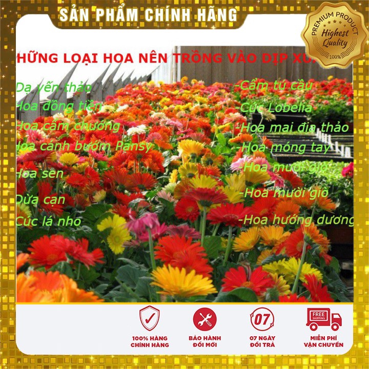 COMBO 14 loại hoa tuyệt đẹp thích hợp trồng mùa xuân hè