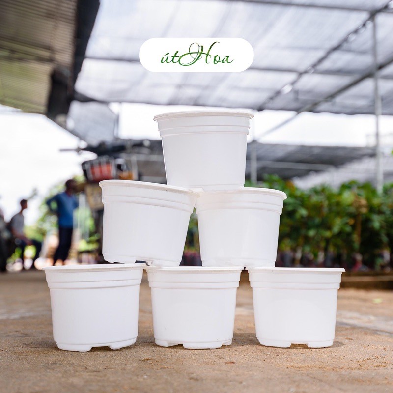 Set 5 chậu nhựa nâu 105 x 80 - vành miệng cứng