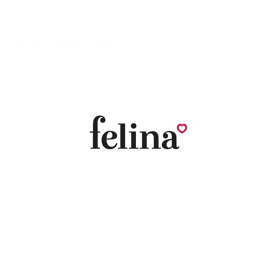 Sơn bóng gương Felina 108 ml