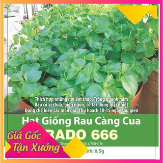 Hạt Giống Rau Càng Cua 0.5gr