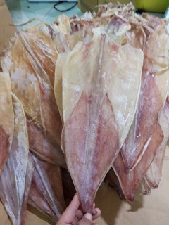 Mực Cà Mau 500g ( 4~5 con)