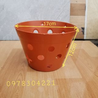 Chậu (giỏ) trồng hoa phong lan, giả gốm Đất Đỏ