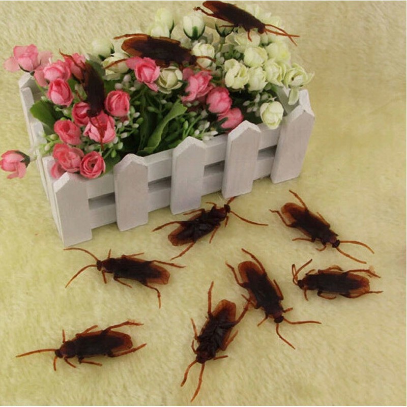 10 mô hình gián giả bằng cao su thiết kế như thật trang trí sân vườn &amp; nhà cửa