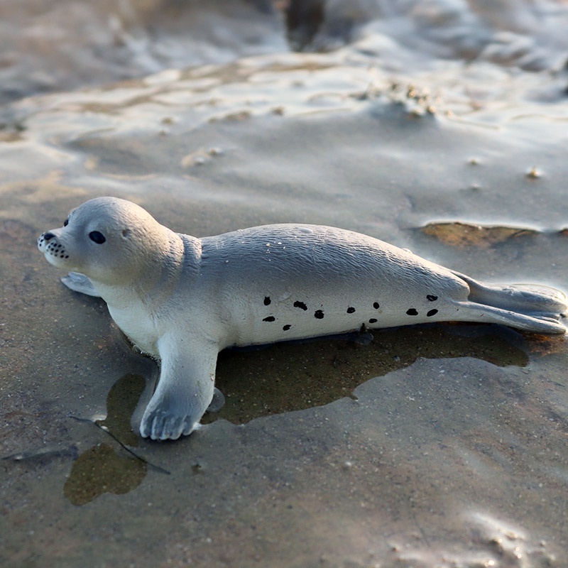 Mô Hình Động Vật Biển Đồ Chơi Cho Bé