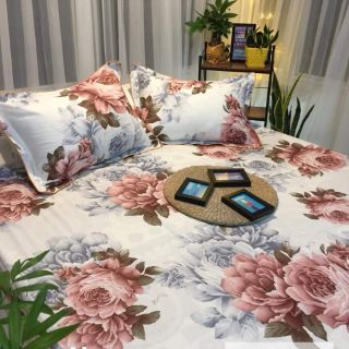 Ga gối cotton