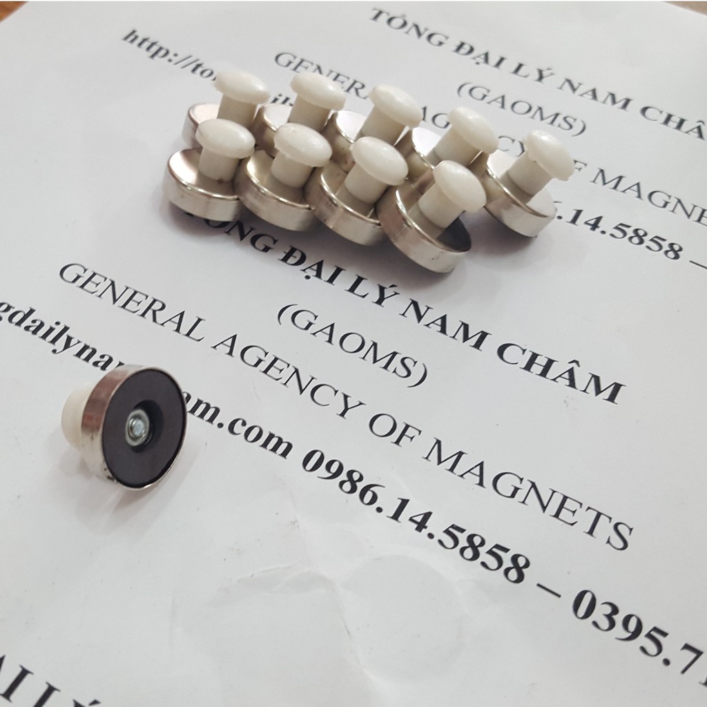 Nam châm đính bảng núm trắng D16mm