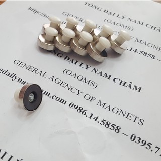 Nam châm đính bảng núm trắng D16mm